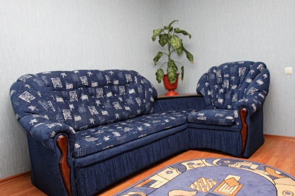 how to clean mold from upholstery » how to clean stuff