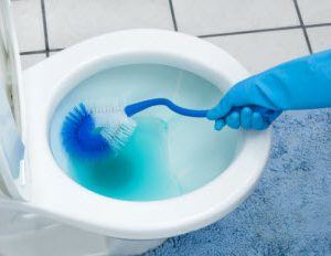 How to clean Kitchen & Bath: How to Remove a Blue Toilet Cleaner Stain from a Toilet Seat