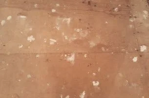 mold-spots-on-wood