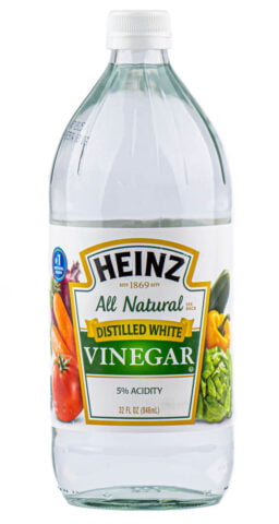 a Bottle of Vinegar