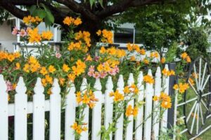 How to clean Exterior: Structural: How to Remove Urine Stains from a Vinyl Fence