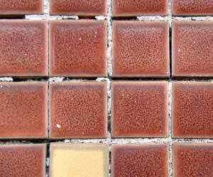 How To Clean Grout Stuff Net, Removing Mould From Tile Grout