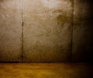 How to clean Garage and Driveway: How to Remove Mold from Concrete Walls and Floors