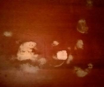 wood white stains